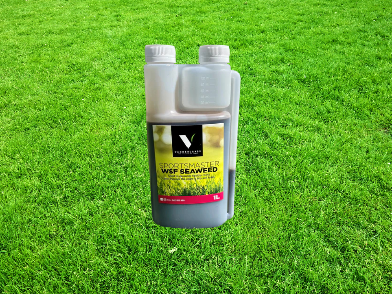 JSBL Group Sportsmaster Seaweed 1L JSBL Group Sportsmaster Seaweed 1L